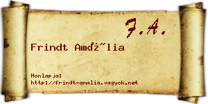 Frindt Amália névjegykártya